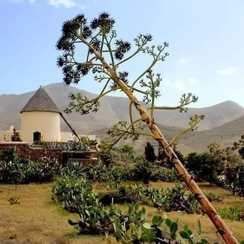 Chalet Independiente Con Piscina, Terraza Y Vistas Al Mar Y Montana San Jose  Holiday home San Jose (Almeria)