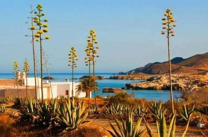 Chalet Independiente Con Piscina, Terraza Y Vistas Al Mar Y Montana San Jose  0*, San Jose (Almeria) Spain